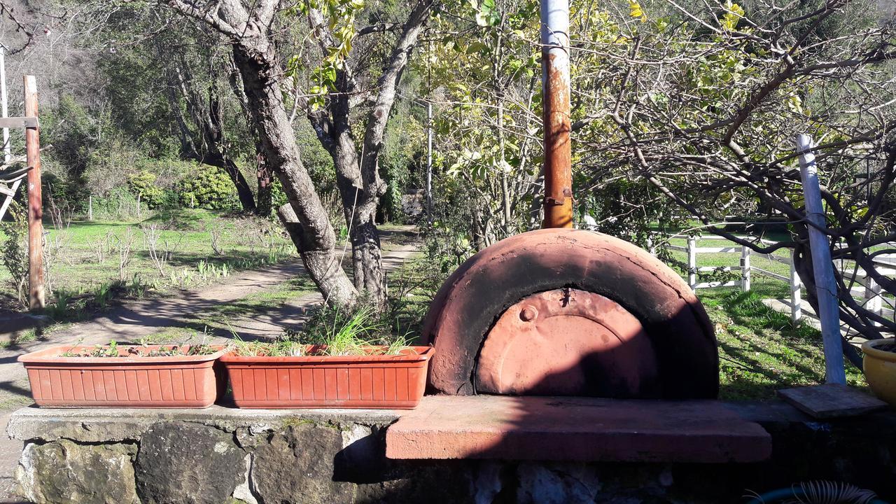 El Fogon De Rio Claro Hotel Екстериор снимка