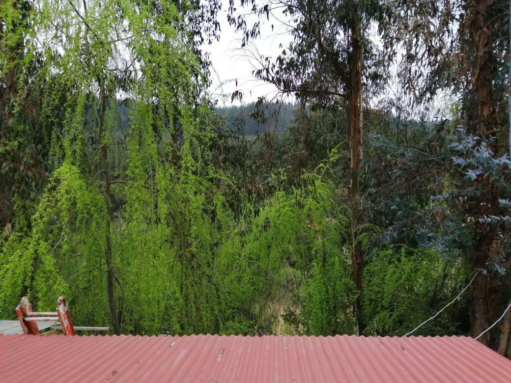El Fogon De Rio Claro Hotel Екстериор снимка