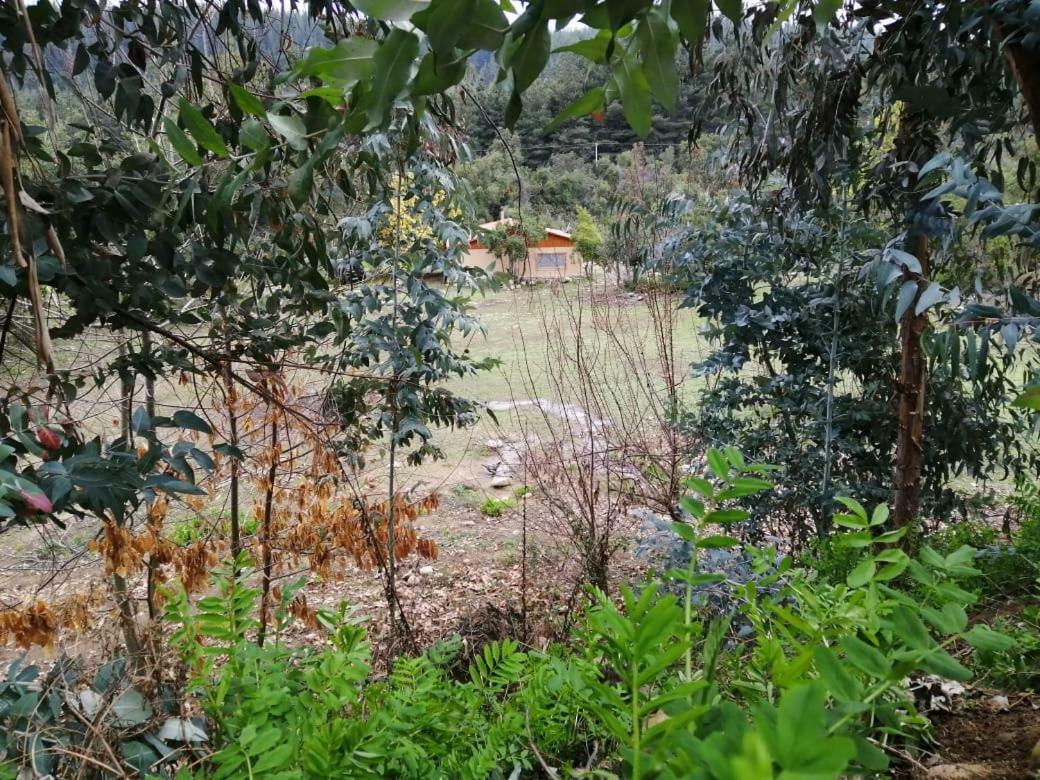 El Fogon De Rio Claro Hotel Екстериор снимка